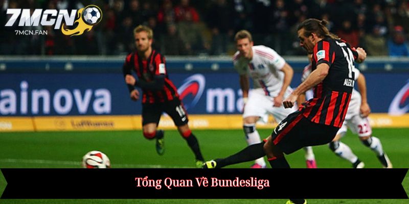 Tổng Quan Về Bundesliga