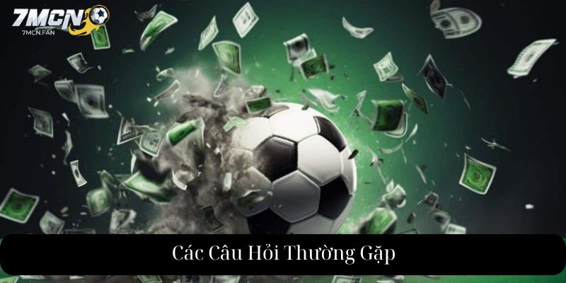 Các Câu Hỏi Thường Gặp