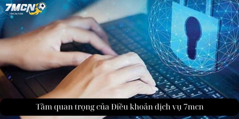 Tầm quan trọng của Điều khoản dịch vụ 7mcn